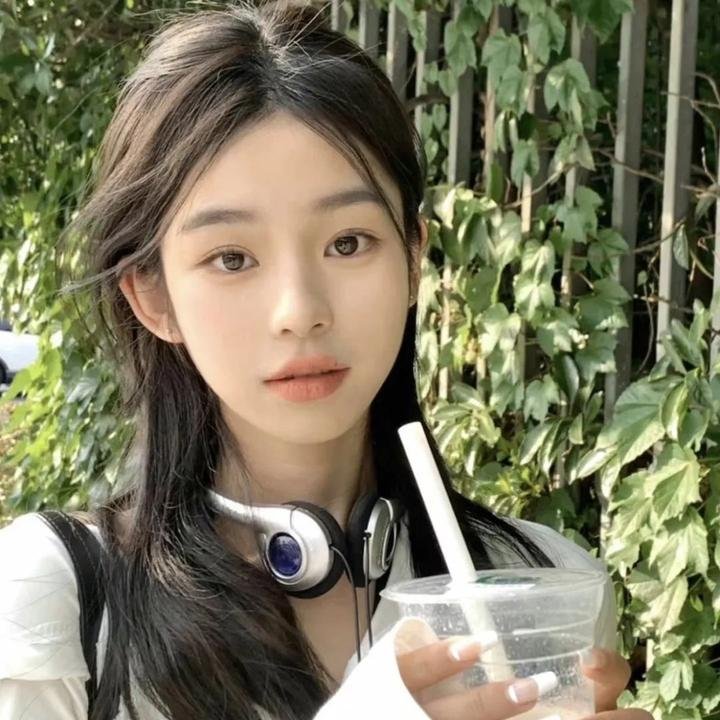 奇谋妙计多仔公